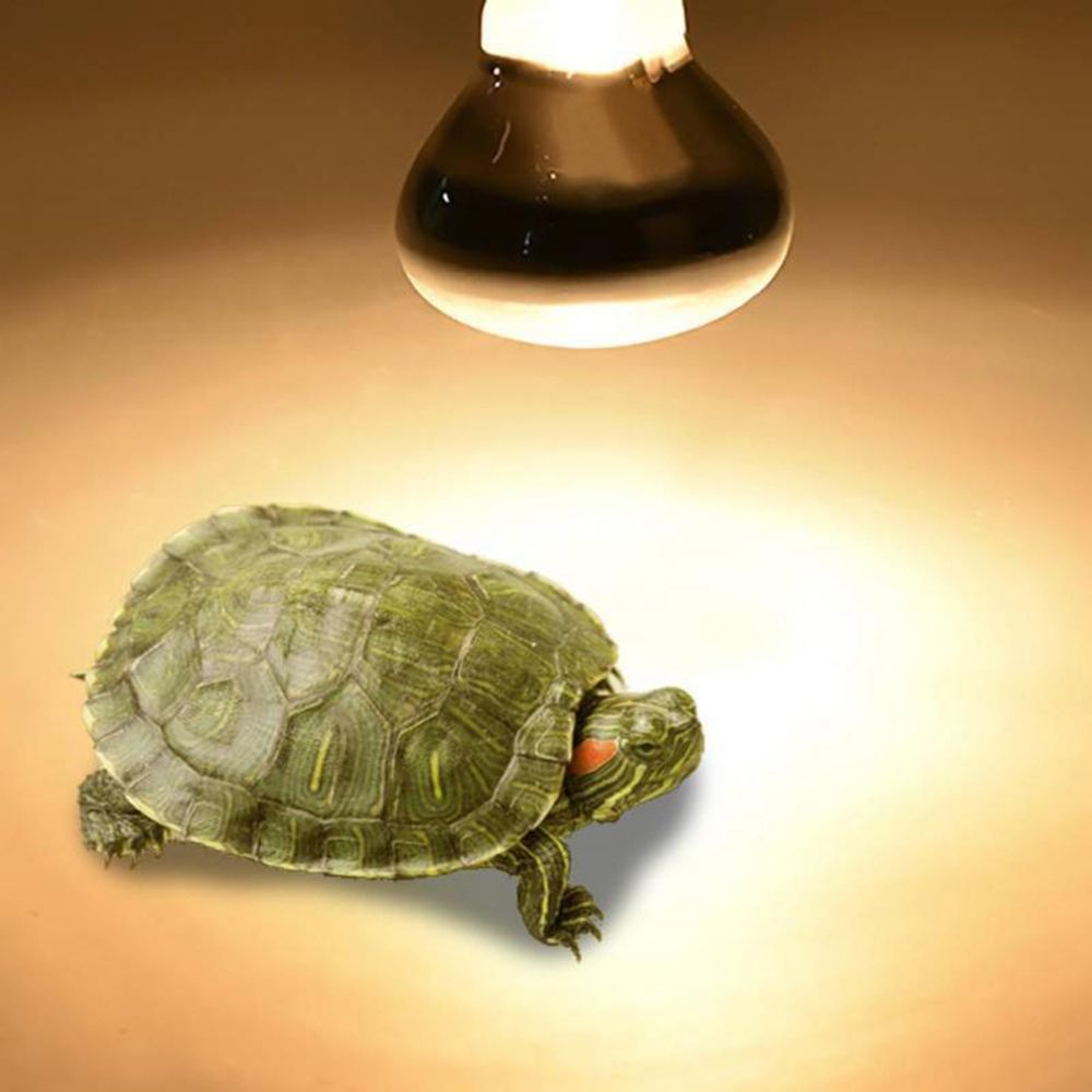 Basking Bulb Halogen - Hagedisverwarmer warmtelamp UVA-licht reptielen halogeenlamp zonnelamp