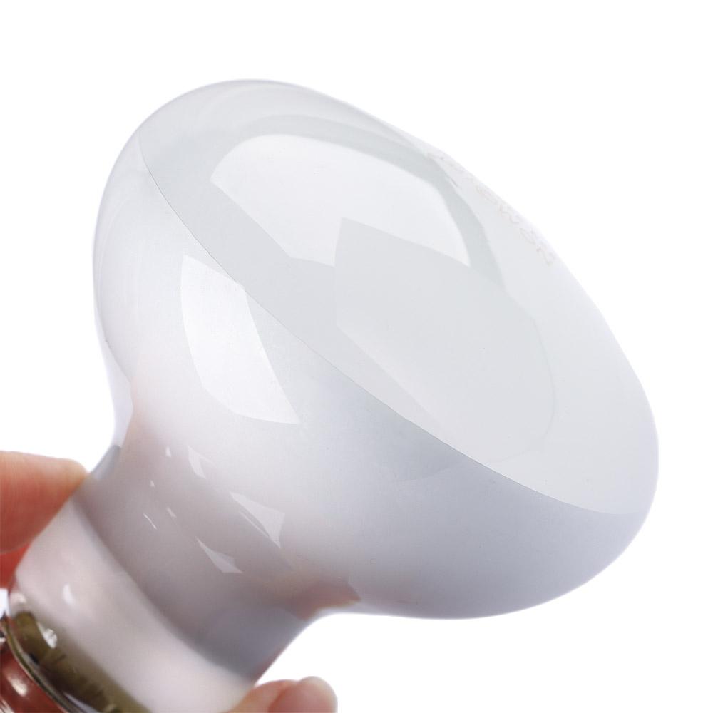 Hagedisverwarmer Temperatuurre - Basking Bulb Halogen recensie en prijs