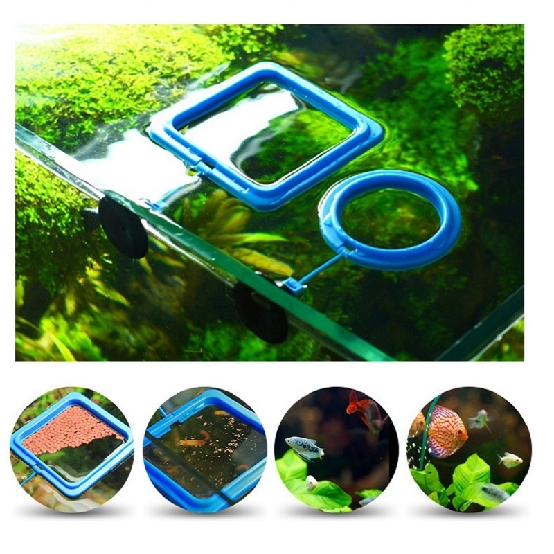 Visvoeding Ring Feeder Visuitr - Tetra Food Tropical Flakes recensie en prijs